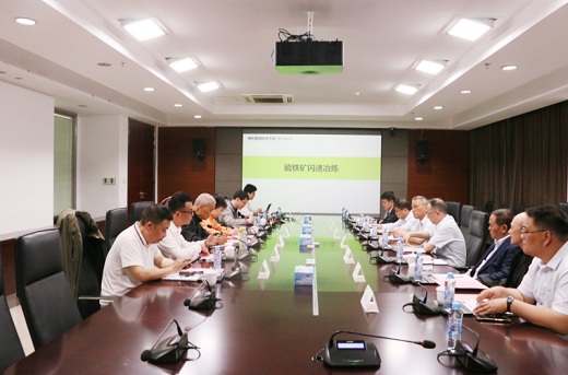 集團(tuán)公司聚焦硫鐵礦資源高效開發(fā)