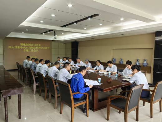 集團(tuán)公司黨委召開專題工作會(huì)議對(duì)整治違規(guī)吃喝問題進(jìn)行再強(qiáng)調(diào)再部署