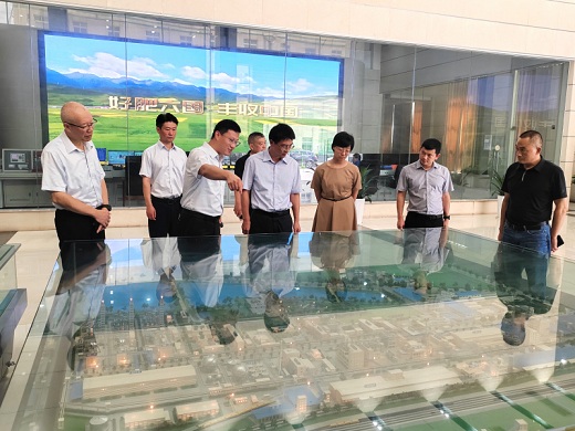 桐城市尋求與六國(guó)化工開展產(chǎn)業(yè)合作