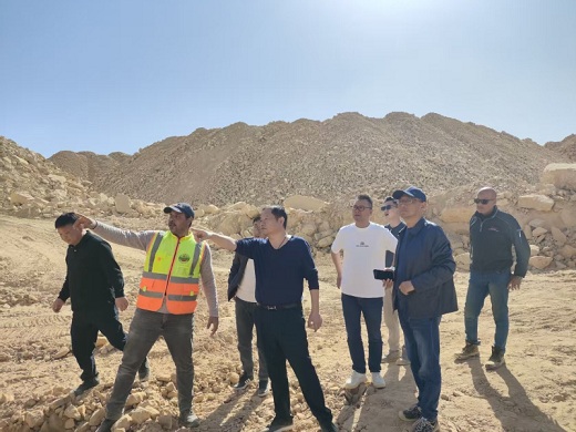 徐均生率團(tuán)考察埃及和敘利亞磷礦資源