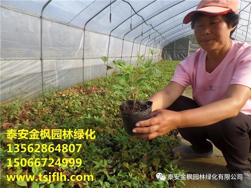 胡啟生率隊(duì)來公司專題調(diào)研