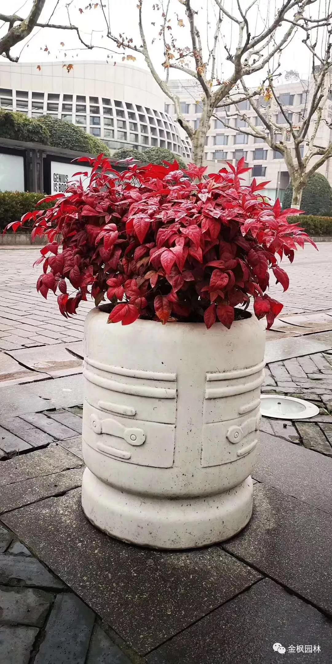 公司捐款助力幫扶村脫貧防疫