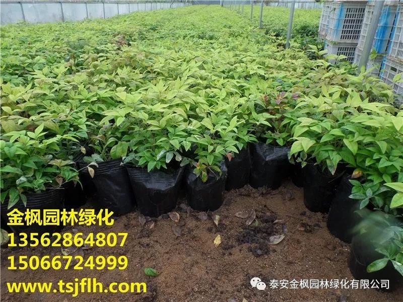 省檢察院領(lǐng)導(dǎo)來六國督導(dǎo)生態(tài)環(huán)境問題整改