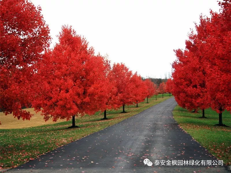 省科技廳黨組書記蔣曦來瑞嘉調(diào)研時說——等著你們的好消息
