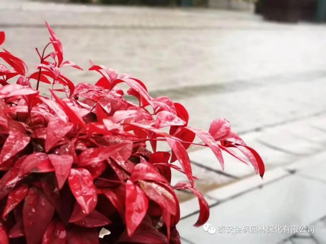 乘勝前進不停步    不斷實現(xiàn)新目標    閆麗君到瑞嘉調(diào)研試生產(chǎn)時強調(diào)