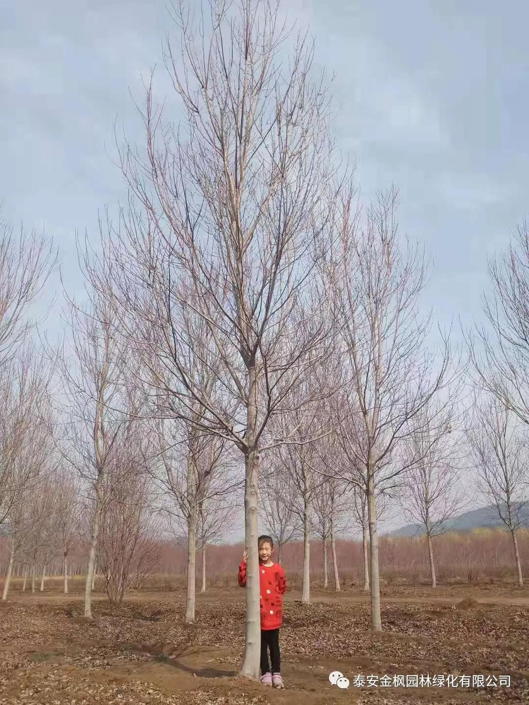 銅官區(qū)與銅化集團(tuán)發(fā)展聯(lián)席會(huì)議召開